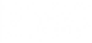 summer_groupe_promoteur_renovation_lyon_logo_white